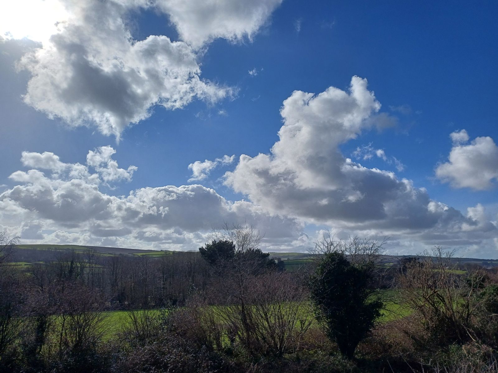 Laveddon Way, Bodmin View