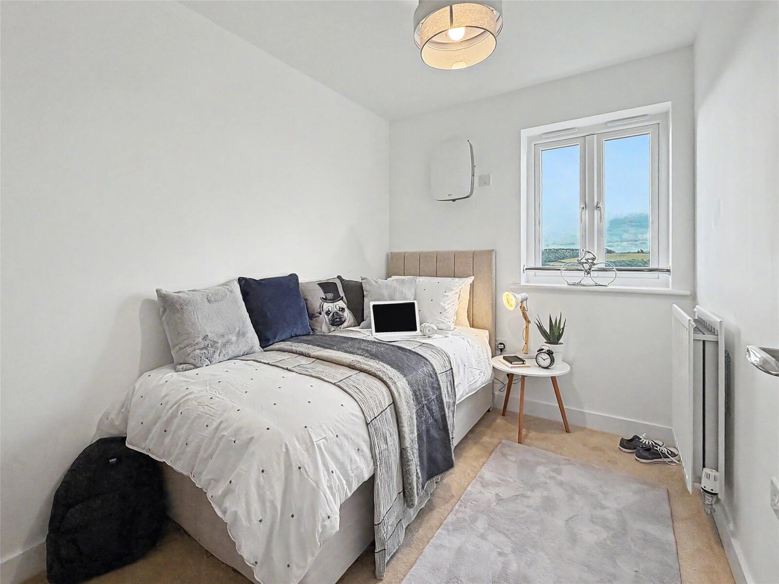 213 bedroom 3