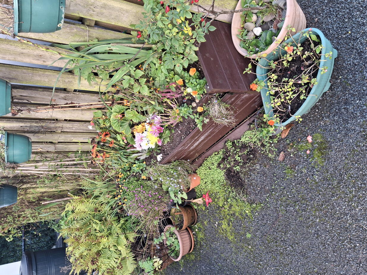 Image of the planters at Station Court