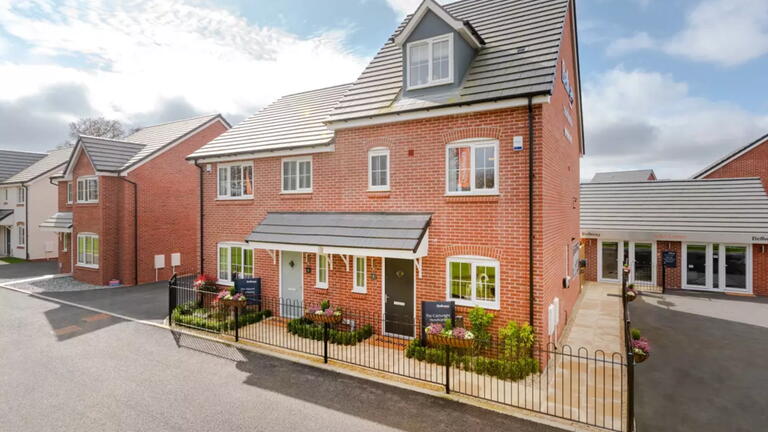 Show Homes