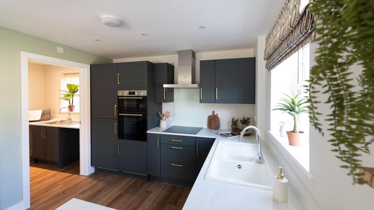 Show Home