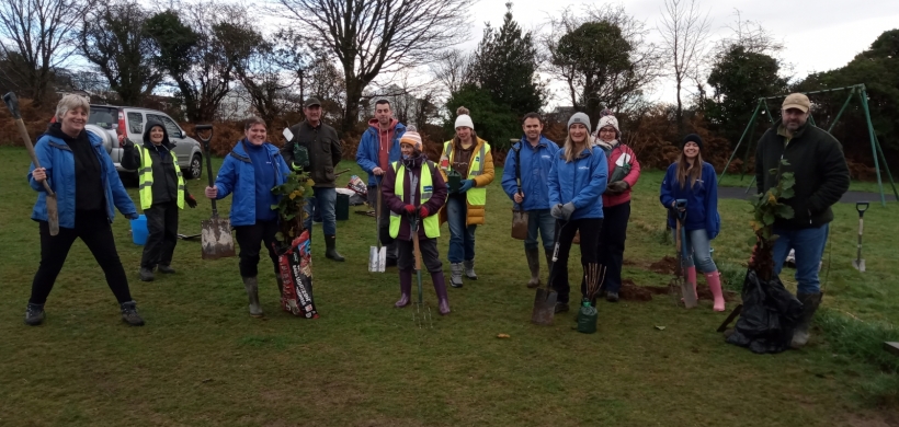 LiveWest volunteers tree planting for Calstock