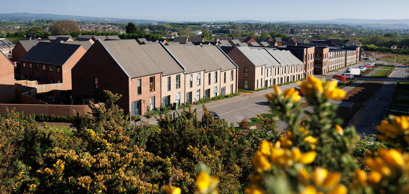 Image of a row of houses with greenery and plants at the front. 