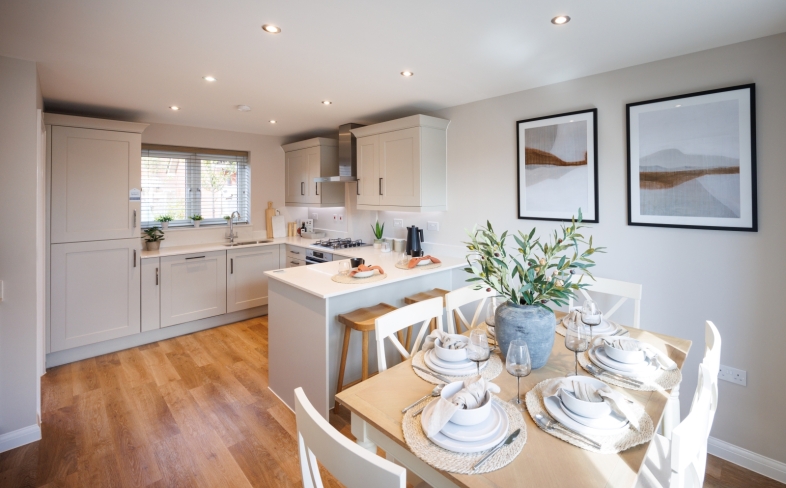 show home