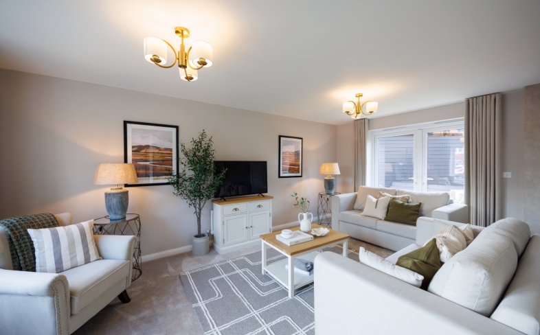 show home