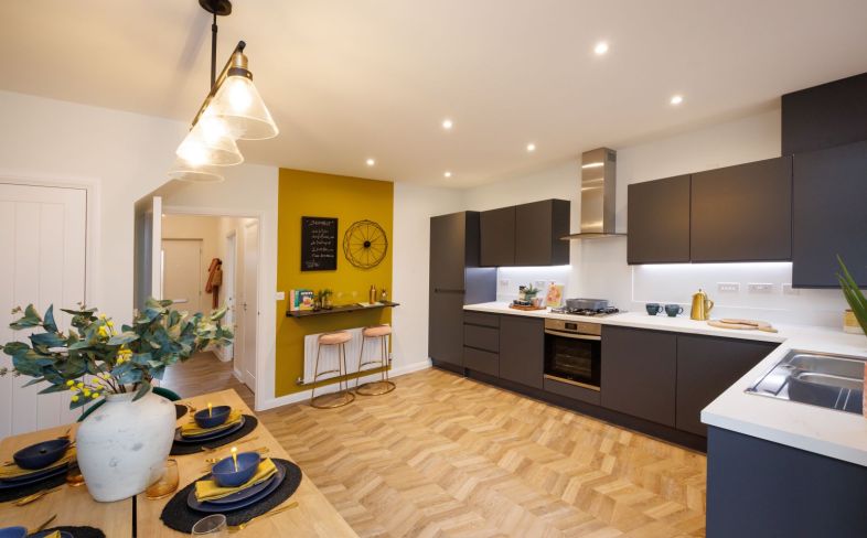 Show Home