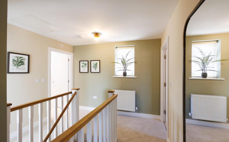 Show Home