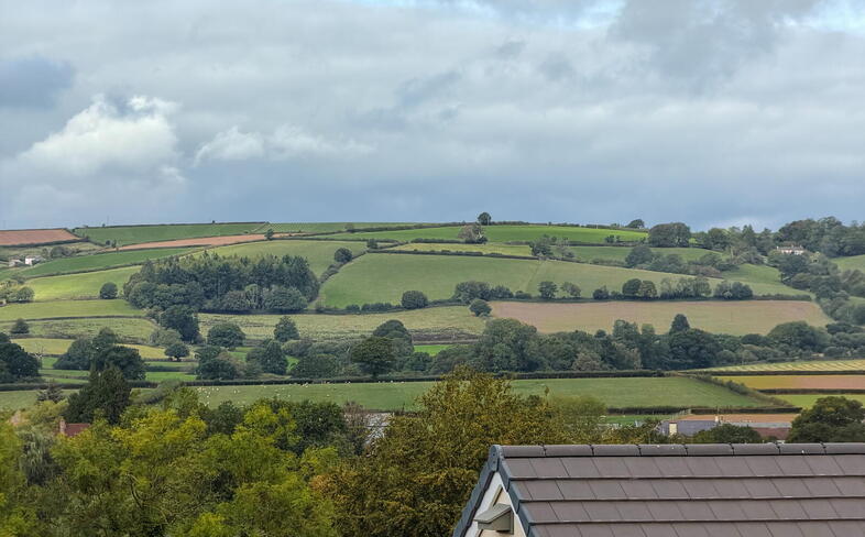 Post Hill Show Home