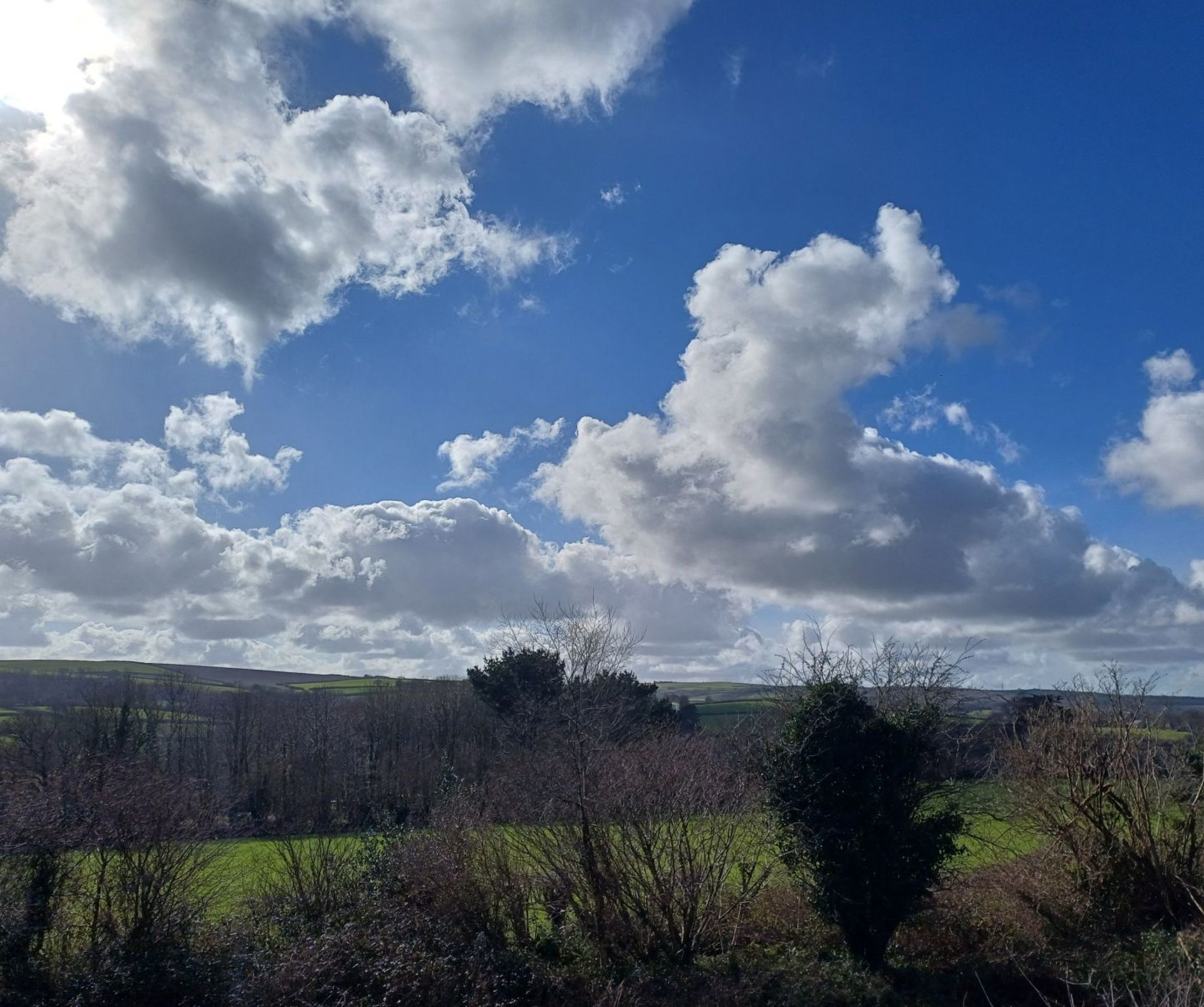 Laveddon Way, Bodmin View