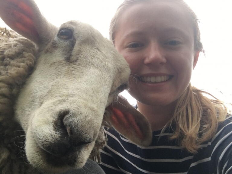 Charlotte volunteers for animal sanctuary