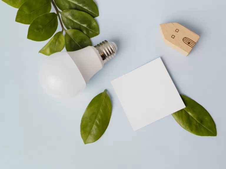 energy saving lightbulb surrounded by leaves and a wooden house