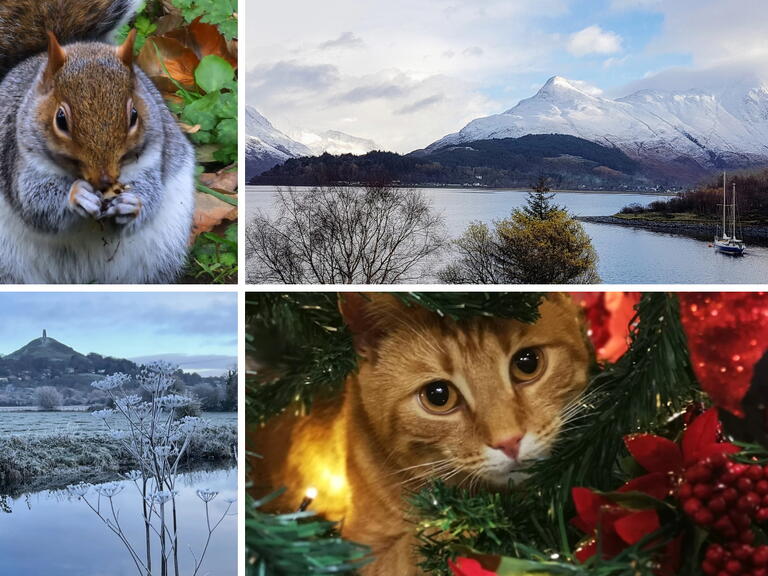 Winter photo winners