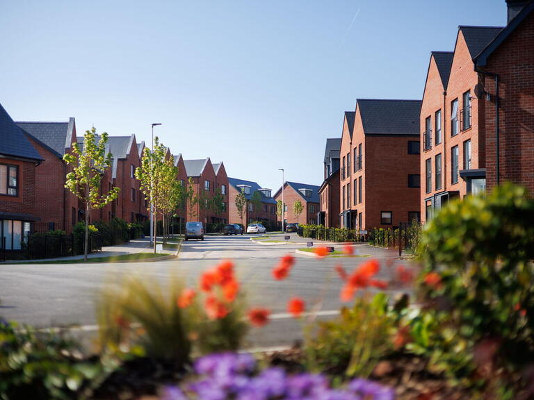 Image of homes on a street, with some plants at the front of the image. 