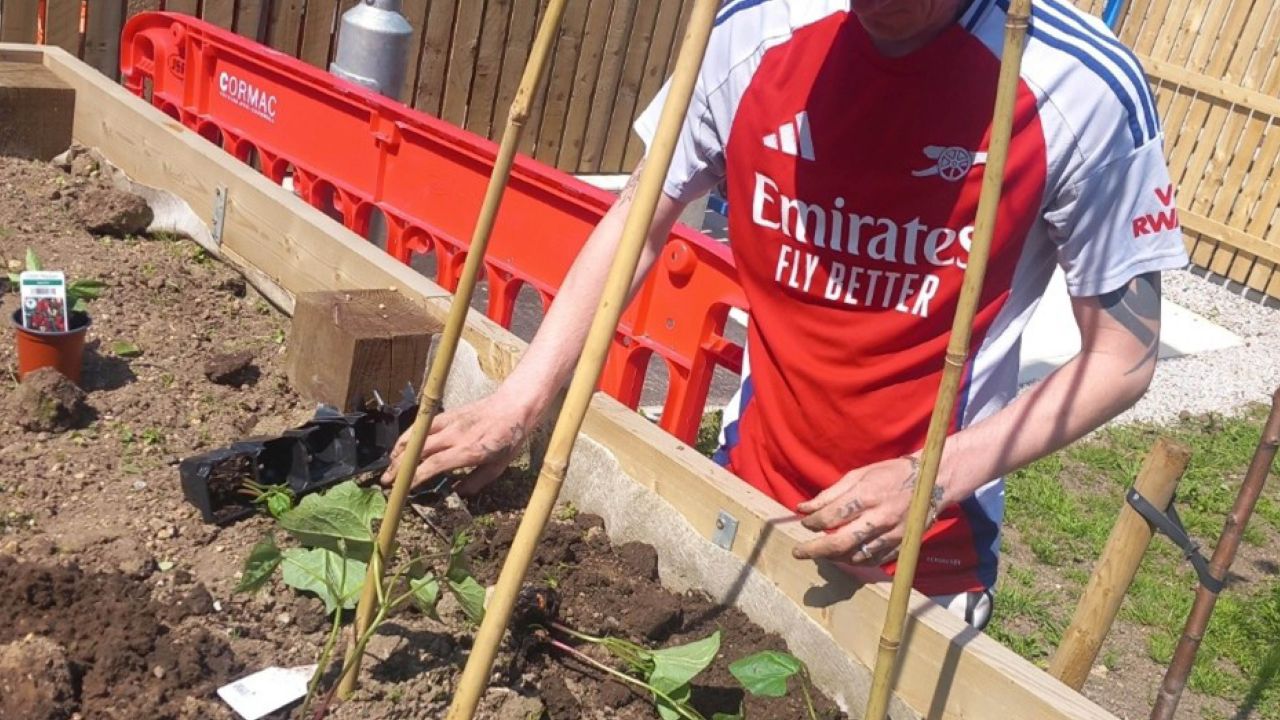 Image of someone gardening.