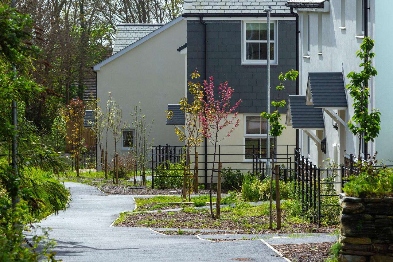 A quiet residential area shows modern houses along a clean, winding path lined with young trees and greenery.