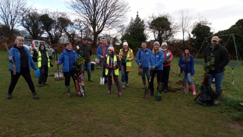 LiveWest volunteers tree planting for Calstock