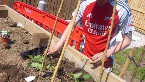 Image of someone gardening. 