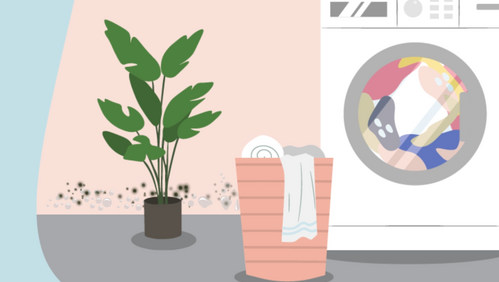 An illustration showing damp and mould on a wall behind a washing machine and a laundry basket.