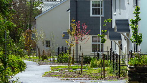 A quiet residential area shows modern houses along a clean, winding path lined with young trees and greenery.