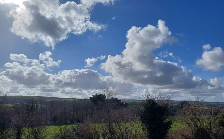 Laveddon Way, Bodmin View