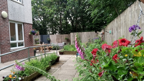 A LiveWest residents' communal garden